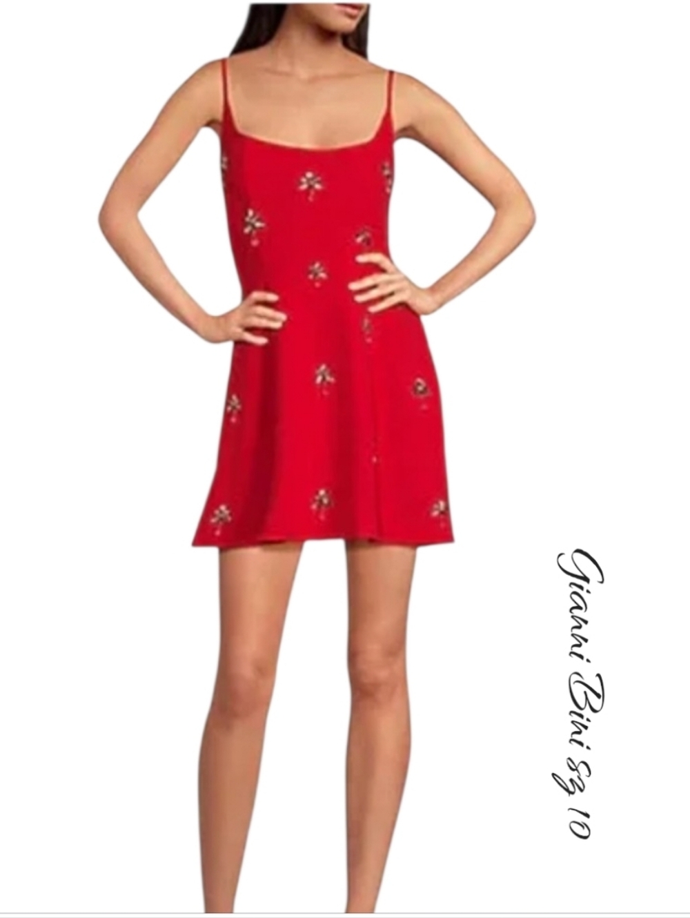 NWT Gianni Bini Cocktail Crepe Jewel A-Line Dress sz 10